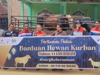 Berbagi di Hari Raya Idul Adha, Pertamina Salurkan 4.493 Hewan Kurban