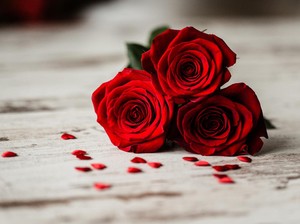 Arti dan Makna Bunga Mawar Berdasarkan Warna
