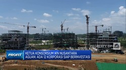 Video: Aguan Bawa Geng Konglomerat Berinvestasi di IKN Nusantara