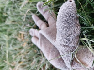 Brr! Dieng Beku Pagi Ini, Suhu Minus 1,3 Derajat Celsius
