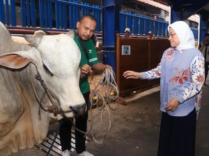 Sebut Idul Adha Bukan Sekadar Perayaan, Menaker: Bentuk Empati-Solidaritas