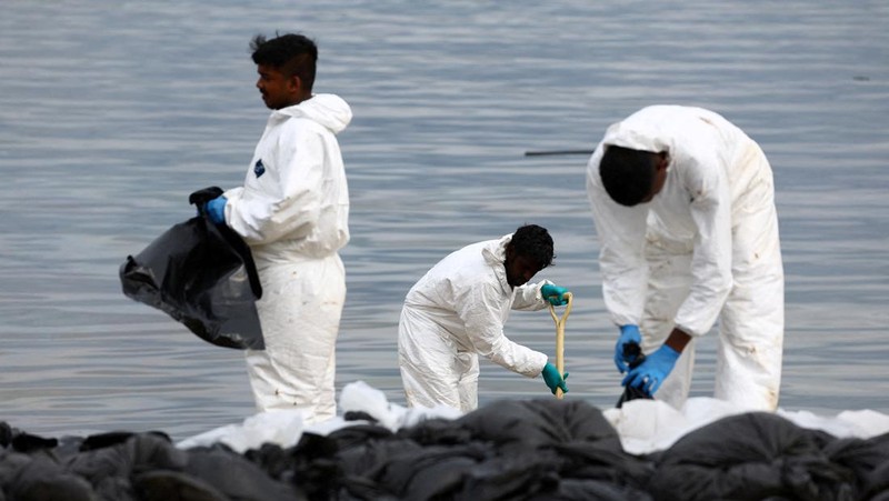 Pembersihan tumpahan minyak di Pantai Tanjong, Sentosa, Singapura, Selasa (18/6/2024). (REUTERS/Edgar Su)