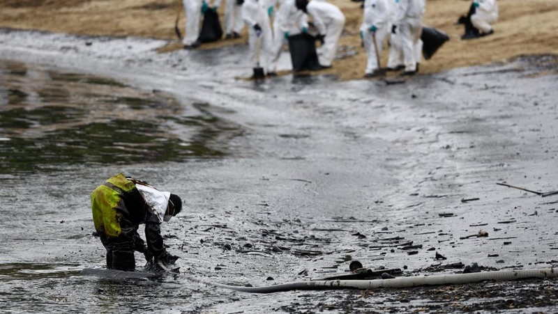 Pembersihan tumpahan minyak di Pantai Tanjong, Sentosa, Singapura, Selasa (18/6/2024). (REUTERS/Edgar Su)