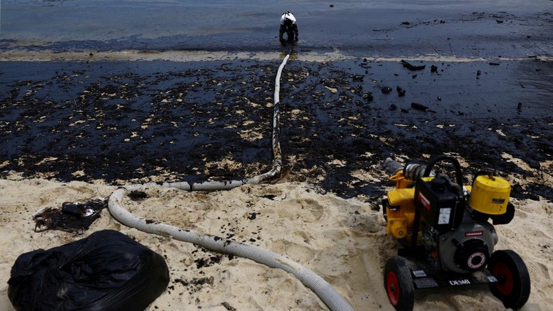 Pembersihan tumpahan minyak di Pantai Tanjong, Sentosa, Singapura, Selasa (18/6/2024). (REUTERS/Edgar Su)