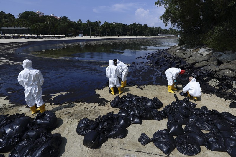 Pembersihan tumpahan minyak di Pantai Tanjong, Sentosa, Singapura, Selasa (18/6/2024). (REUTERS/Edgar Su)