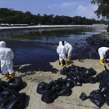 Potret Tak Biasa Pantai Singapura Hitam Legam, Ini Kronologi-Sebabnya