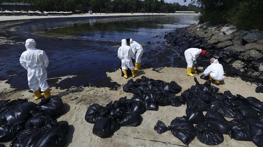 Pembersihan tumpahan minyak di Pantai Tanjong, Sentosa, Singapura, Selasa (18/6/2024). (REUTERS/Edgar Su)