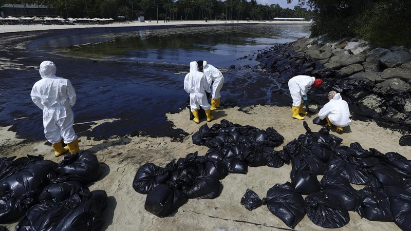 Pembersihan tumpahan minyak di Pantai Tanjong, Sentosa, Singapura, Selasa (18/6/2024). (REUTERS/Edgar Su)