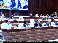 DPR Minta Menhub Waspada Serbuan Tenaga Kerja Asing ke RI, Ada Apa?