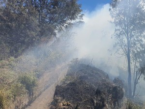 TNBTS Ungkap Kronologi Kebakaran Savana Gunung Bromo