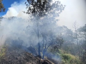 Savana Bukit Widodaren Gunung Bromo Sempat Kebakaran, Kini Padam!