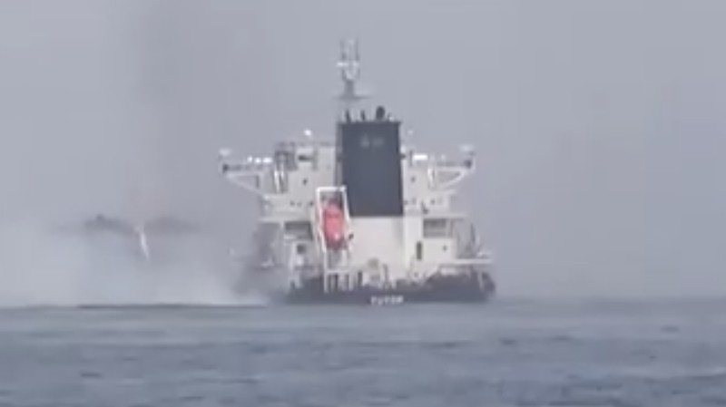 Kelompok Houthi Yaman serang kapal pengangkut batubara Tutor milik Yunani di Laut Merah. (REUTERS)