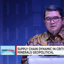 Langkah RI Kelola Mineral Kritis Hingga Lawan Kampanye 'Dirty Nickel'