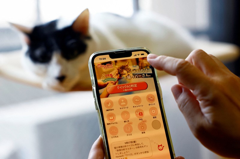 Profesor Universitas Nihon dan kepala Pusat Medis Hewan Universitas Nihon Kazuya Edamura, 49, melakukan pemeriksaan X-ray pada seekor kucing di pusat medis di Fujisawa, selatan Tokyo, Jepang 11 Juni 2024. Profesor Universitas Nihon dan kepala Pusat Medis Hewan Universitas Nihon Kazuya Edamura, 49, melakukan pemeriksaan X-ray pada seekor kucing di pusat medis di Fujisawa, selatan Tokyo, Jepang 11 Juni 2024. (REUTERS/Issei Kato)