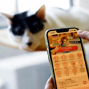 Top! Jepang Ciptakan Aplikasi Canggih Kesehatan Kucing Pakai AI