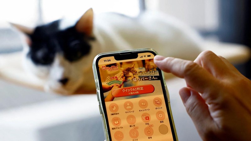 Profesor Universitas Nihon dan kepala Pusat Medis Hewan Universitas Nihon Kazuya Edamura, 49, melakukan pemeriksaan X-ray pada seekor kucing di pusat medis di Fujisawa, selatan Tokyo, Jepang 11 Juni 2024. (REUTERS/Issei Kato)