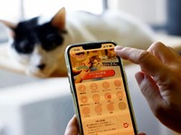 Top! Jepang Ciptakan Aplikasi Canggih Kesehatan Kucing Pakai AI