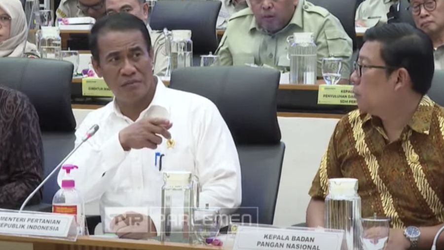 Menteri Pertanian, Amran Sulaiman saat rapat kerja dengan komisi IV DPR RI. (YouTube/Komisi IV DPR RI Channel)