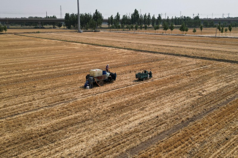 Pemandangan drone menunjukkan para petani menyiram ladang dengan jagung yang baru ditanam, di tengah peringatan oranye akan gelombang panas di wilayah yang dilanda kekeringan, di Jinan, provinsi Shandong, Tiongkok, 20 Juni 2024. Pemandangan drone menunjukkan para petani menyiram ladang dengan jagung yang baru ditanam, di tengah peringatan oranye akan gelombang panas di wilayah yang dilanda kekeringan, di Jinan, provinsi Shandong, Tiongkok, 20 Juni 2024. (REUTERS/Xihao Jiang)