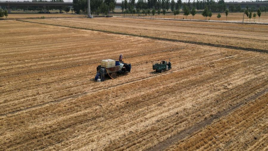 Pemandangan drone menunjukkan para petani menyiram ladang dengan jagung yang baru ditanam, di tengah peringatan oranye akan gelombang panas di wilayah yang dilanda kekeringan, di Jinan, provinsi Shandong, Tiongkok, 20 Juni 2024. (REUTERS/Xihao Jiang)