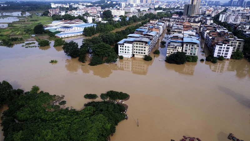 Pemandangan drone menunjukkan para petani menyiram ladang dengan jagung yang baru ditanam, di tengah peringatan oranye akan gelombang panas di wilayah yang dilanda kekeringan, di Jinan, provinsi Shandong, Tiongkok, 20 Juni 2024. (REUTERS/Xihao Jiang)
