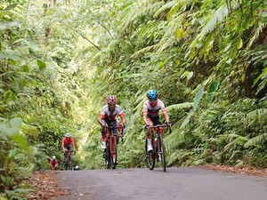 Pembalap Sepeda Malaysia-Korsel Bakal Berlaga di Tour de Banyuwangi Ijen