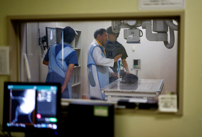 Profesor Universitas Nihon dan kepala Pusat Medis Hewan Universitas Nihon Kazuya Edamura, 49, melakukan pemeriksaan X-ray pada seekor kucing di pusat medis di Fujisawa, selatan Tokyo, Jepang 11 Juni 2024. Profesor Universitas Nihon dan kepala Pusat Medis Hewan Universitas Nihon Kazuya Edamura, 49, melakukan pemeriksaan X-ray pada seekor kucing di pusat medis di Fujisawa, selatan Tokyo, Jepang 11 Juni 2024. (REUTERS/Issei Kato)