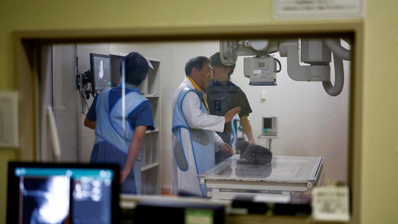 Profesor Universitas Nihon dan kepala Pusat Medis Hewan Universitas Nihon Kazuya Edamura, 49, melakukan pemeriksaan X-ray pada seekor kucing di pusat medis di Fujisawa, selatan Tokyo, Jepang 11 Juni 2024. (REUTERS/Issei Kato)