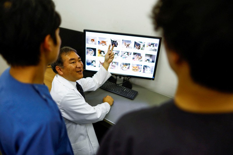 Profesor Universitas Nihon dan kepala Pusat Medis Hewan Universitas Nihon Kazuya Edamura, 49, melakukan pemeriksaan X-ray pada seekor kucing di pusat medis di Fujisawa, selatan Tokyo, Jepang 11 Juni 2024. (REUTERS/Issei Kato)