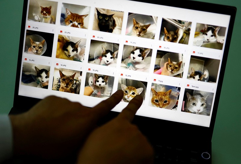 Profesor Universitas Nihon dan kepala Pusat Medis Hewan Universitas Nihon Kazuya Edamura, 49, melakukan pemeriksaan X-ray pada seekor kucing di pusat medis di Fujisawa, selatan Tokyo, Jepang 11 Juni 2024. Profesor Universitas Nihon dan kepala Pusat Medis Hewan Universitas Nihon Kazuya Edamura, 49, melakukan pemeriksaan X-ray pada seekor kucing di pusat medis di Fujisawa, selatan Tokyo, Jepang 11 Juni 2024. (REUTERS/Issei Kato)