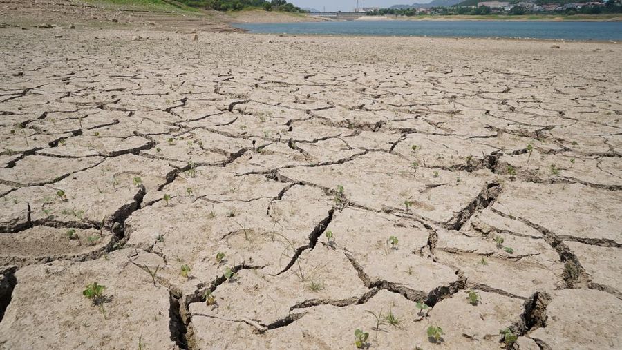 Retakan terjadi di dasar waduk Jinxiuchuan di tengah peringatan oranye gelombang panas di wilayah yang dilanda kekeringan, di Jinan, provinsi Shandong, Tiongkok, 19 Juni 2024. (REUTERS/Nicoco Chan)