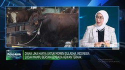Rupiah Melemah & RI Ganti Presiden, Gimana Nasib Bisnis Impor Daging?