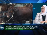 Rupiah Melemah & RI Ganti Presiden, Gimana Nasib Bisnis Impor Daging?