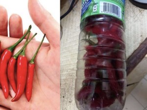 Tips Praktis Simpan Cabe agar Awet Segar Berbulan-bulan