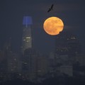 Bingung Jam Berapa di Bulan, Bumi Cemas Astronaut Nyasar