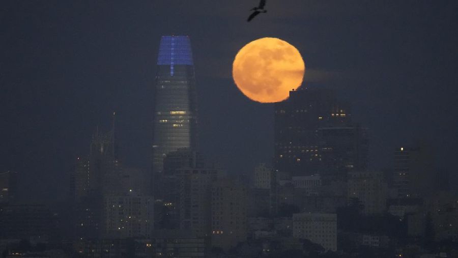 Bulan stroberi muncul di balik cakrawala San Francisco pada Sabtu, 3 Juni 2023. (AP Photo/Eric Risberg/File Foto)