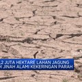 Video: Cuaca Ekstrem 'Tanda Kiamat' China, Kekeringan & Banjir Mendera