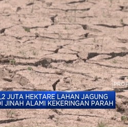Video: Cuaca Ekstrem 'Tanda Kiamat' China, Kekeringan & Banjir Mendera
