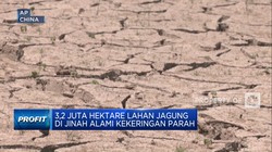 Video: Cuaca Ekstrem 'Tanda Kiamat' China, Kekeringan & Banjir Mendera