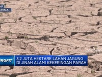 Video: Cuaca Ekstrem 'Tanda Kiamat' China, Kekeringan & Banjir Mendera