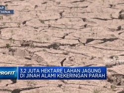 Video: Cuaca Ekstrem 'Tanda Kiamat' China, Kekeringan & Banjir Mendera