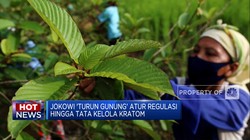 Video:Tata Kelola Kratom Hingga Militer China &Filipina Bentrok di LCS