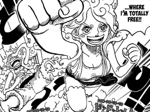 5 Fakta Toshi Toshi no Mi Milik Bonney yang Ubah Jadi Nika
