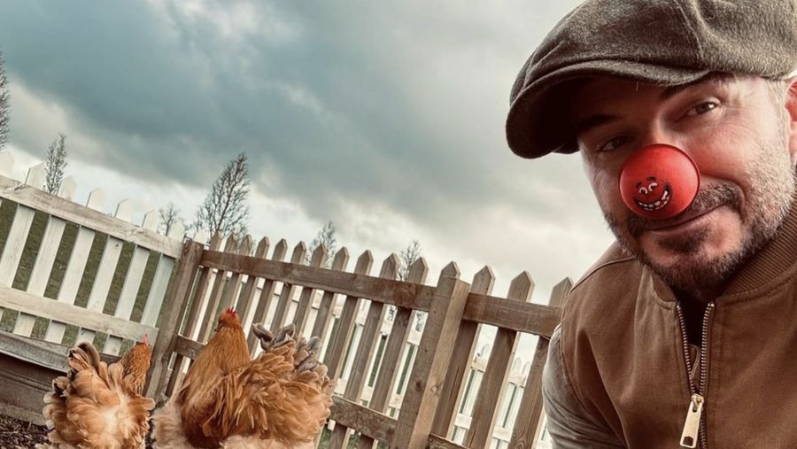 Mantan pesepakbola asal Inggris, David Beckham tengah menggeluti hobi baru bersama keluarganya yakni berkebun daun bawang dan mawar di pekarangan rumahnya. (Instagram @davidbeckham)