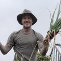 Tetap Seksi! Potret David Beckham Alih Profesi: Beternak Ayam-Bertani