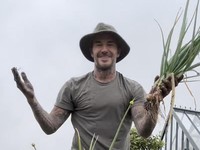Tetap Seksi! Potret David Beckham Alih Profesi: Beternak Ayam-Bertani