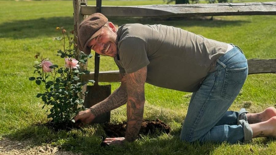 Mantan pesepakbola asal Inggris, David Beckham tengah menggeluti hobi baru bersama keluarganya yakni berkebun daun bawang dan mawar di pekarangan rumahnya. (Instagram @davidbeckham)