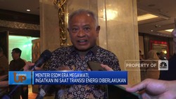 Menteri ESDM Era Megawati, Ingatkan Ini Saat Transisi Energi