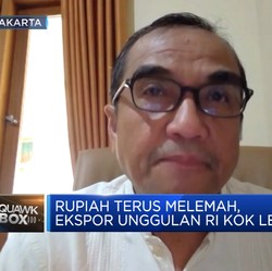 Produktivitas Sawit Turun, Target Produksi CPO 100 Juta Ton Apa Kabar