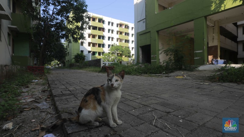 Suasana kondisi Rumah Susun Sederhana Sewa (Rusunawa) Marunda yang tidak terawat, Jakarta, Jumat (21/6/2024). (CNBC Indonesia/Muhammad Sabki) Suasana kondisi Rumah Susun Sederhana Sewa (Rusunawa) Marunda yang tidak terawat, Jakarta, Jumat (21/6/2024). (CNBC Indonesia/Muhammad Sabki)